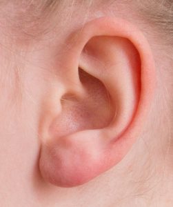 ear, auricle, listen, hearing, sense organ, perception, human, person, human auricle, young, ear, ear, ear, ear, ear